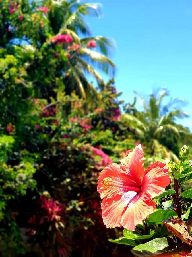 Gîte de la Vieille Sucrerie St Claude Guadeloupe Basse-Terre Exterior foto