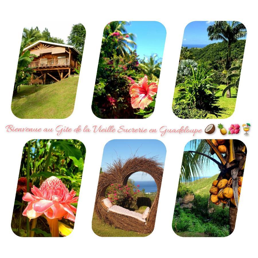 Gîte de la Vieille Sucrerie St Claude Guadeloupe Basse-Terre Exterior foto